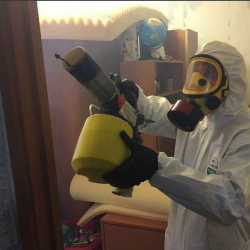 Уничтожение клопов в квартире. Салехард